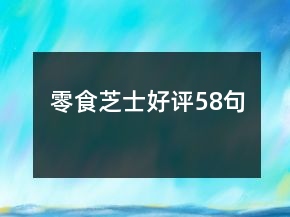 零食芝士好評(píng)58句