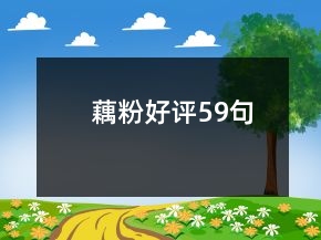 藕粉好評59句