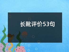 長(zhǎng)靴評(píng)價(jià)53句
