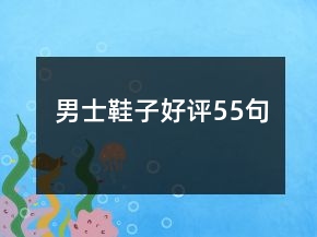 男士鞋子好評55句