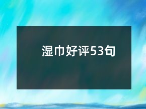 濕巾好評(píng)53句