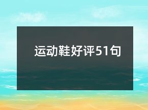 運(yùn)動(dòng)鞋好評(píng)51句