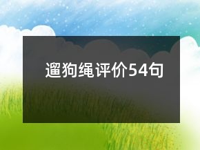 遛狗繩評價54句