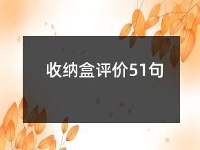 收納盒評價51句