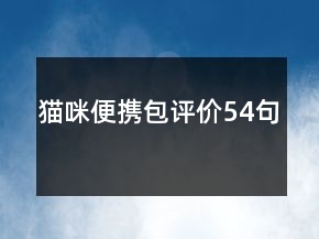 貓咪便攜包評價54句