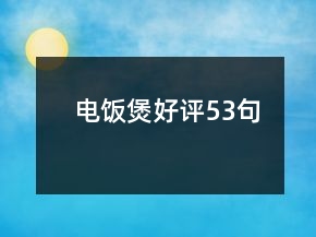 電飯煲好評53句