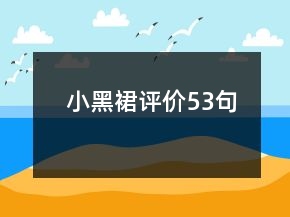 小黑裙評(píng)價(jià)53句