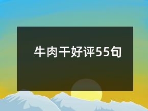 牛肉干好評55句