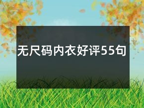 無尺碼內(nèi)衣好評55句