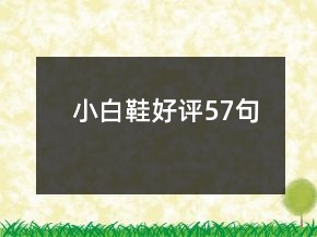 小白鞋好評(píng)57句