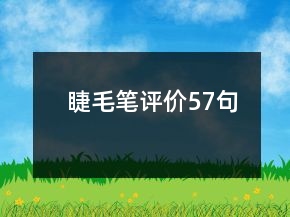 睫毛筆評價(jià)57句