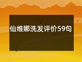 仙維娜洗發(fā)評價59句