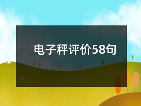 電子秤評價58句