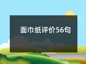 面巾紙?jiān)u價(jià)56句