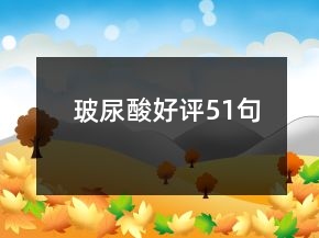 玻尿酸好評(píng)51句