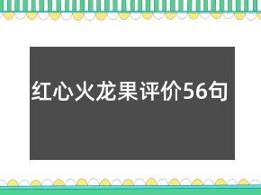 紅心火龍果評(píng)價(jià)56句