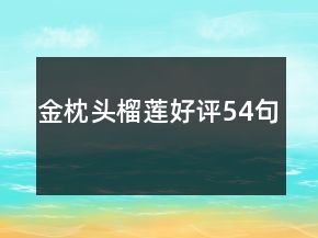 金枕頭榴蓮好評54句