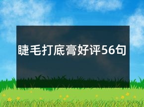 睫毛打底膏好評56句