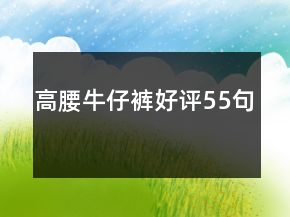 高腰牛仔褲好評55句