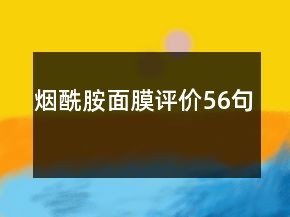 煙酰胺面膜評(píng)價(jià)56句