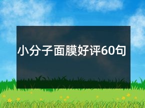 小分子面膜好評(píng)60句