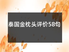 泰國金枕頭評價58句
