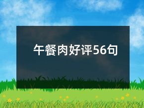 午餐肉好評56句