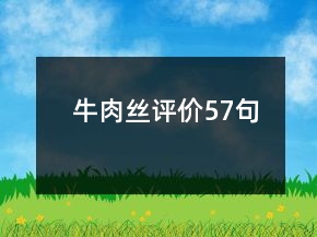 牛肉絲評(píng)價(jià)57句