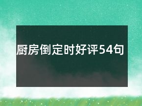 廚房倒定時(shí)好評(píng)54句