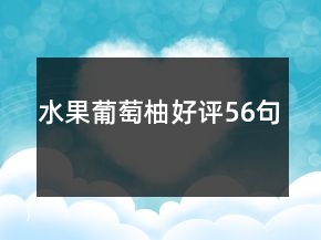 水果葡萄柚好評(píng)56句