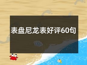 表盤尼龍表好評(píng)60句
