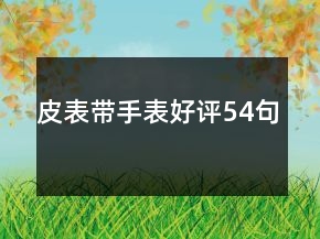 皮表帶手表好評(píng)54句