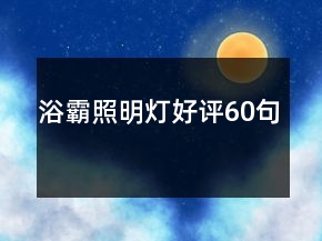 浴霸照明燈好評60句