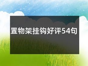 置物架掛鉤好評(píng)54句