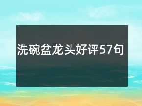 洗碗盆龍頭好評57句