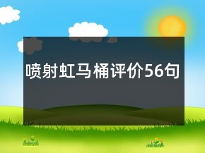 噴射虹馬桶評(píng)價(jià)56句