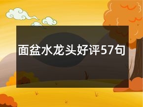 面盆水龍頭好評57句