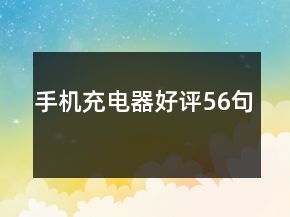 手機(jī)充電器好評(píng)56句