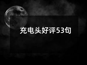 充電頭好評(píng)53句