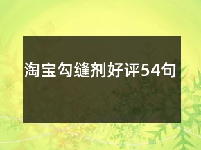 淘寶勾縫劑好評(píng)54句