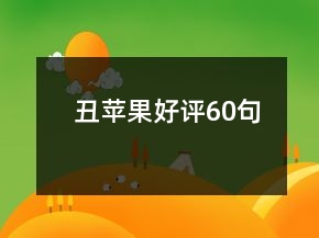 丑蘋果好評60句