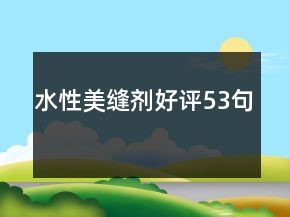 水性美縫劑好評(píng)53句