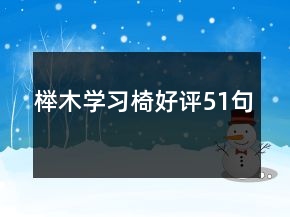 櫸木學(xué)習(xí)椅好評(píng)51句