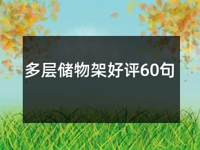 多層儲物架好評60句