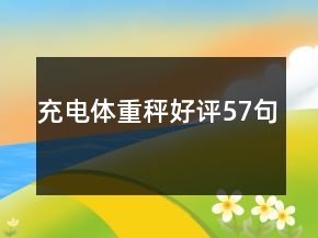 充電體重秤好評57句
