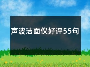 聲波潔面儀好評(píng)55句