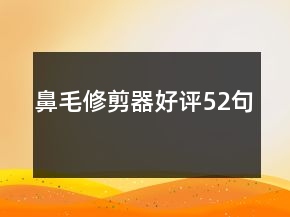 鼻毛修剪器好評52句