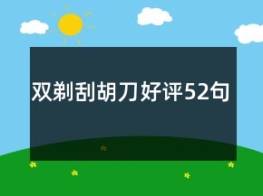 雙剃刮胡刀好評52句