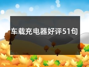 車載充電器好評(píng)51句