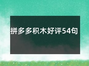 拼多多積木好評(píng)54句